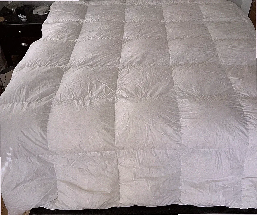 Cuddledown European Baptiste White Goose Down Comforter, Level 3, 800 FP