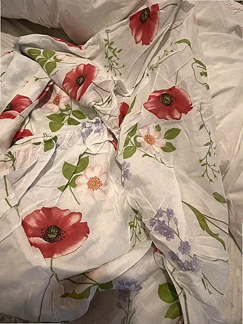 Cuddledown Italy NWT 1pc King Fitted Sheet 100% Cotton Voile Print 15” LAST